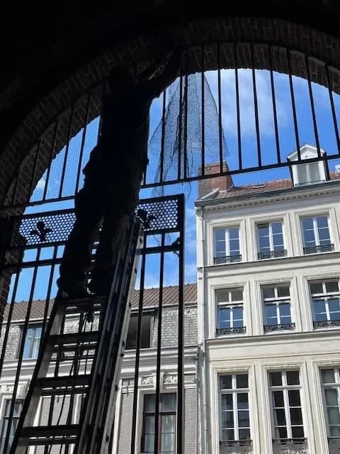 Technicien sur une échelle installant une protection anti-pigeons sur une ouverture