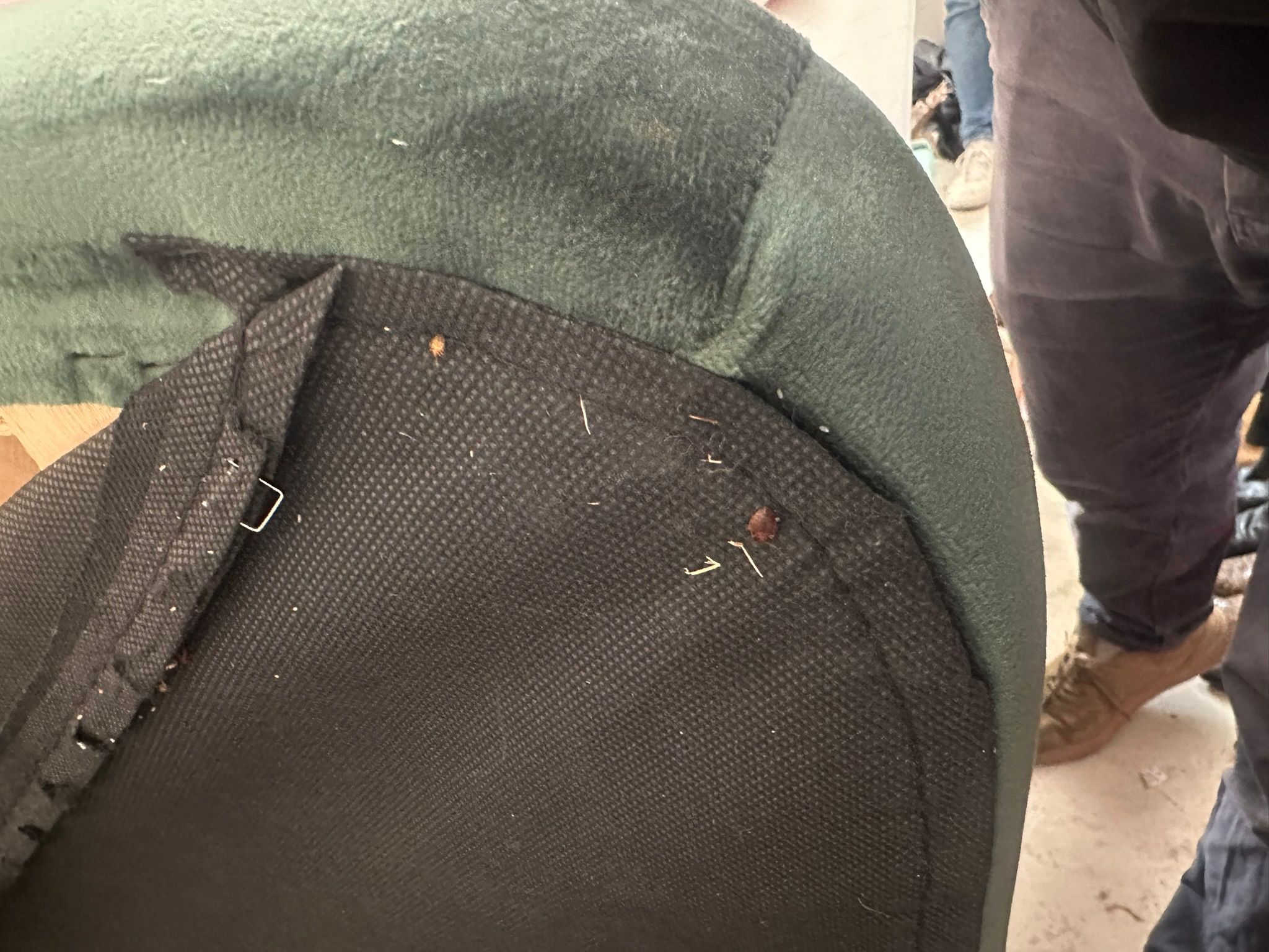 Infestation cachée sous mobilier