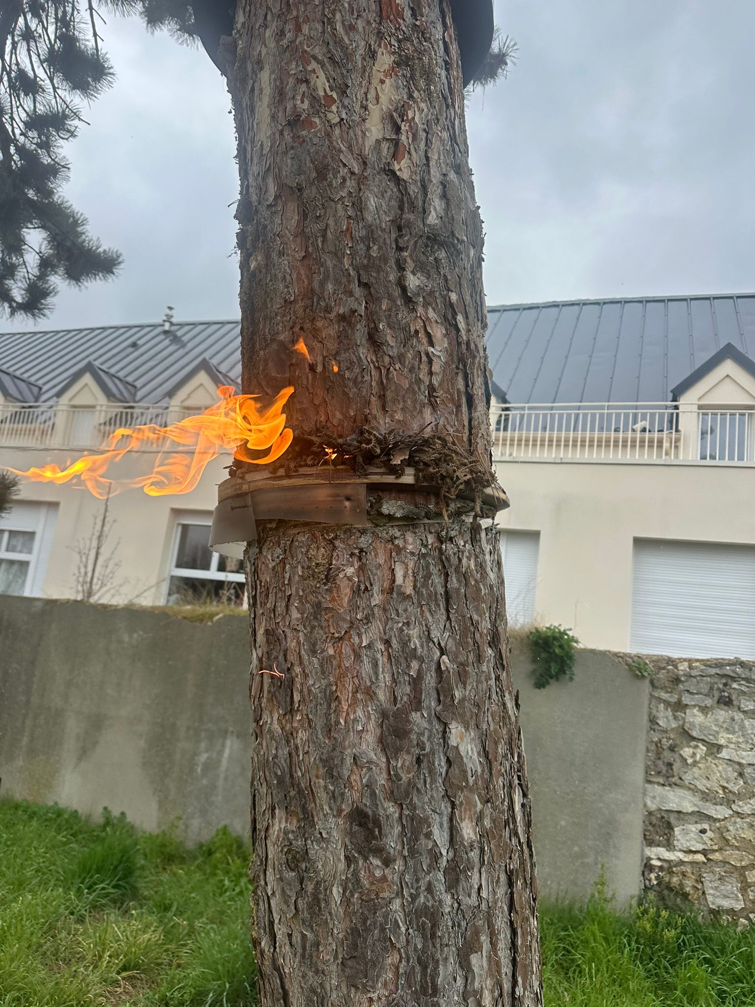Écopiège professionnel installé